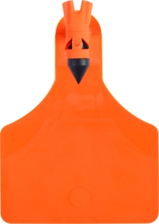 ATag-Large-Front-Orange ATag-Large-Front-Orange